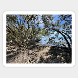 Small Hidden Beach at Robinson Preserve Sticker